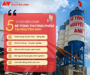 ly-do-nen-chon-be-tong-thuong-pham-tai-be-tong-nguyen-anh